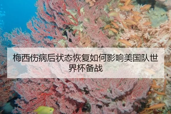 梅西伤病后状态恢复如何影响美国队世界杯备战