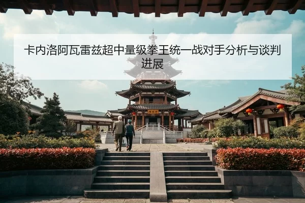 卡内洛阿瓦雷兹超中量级拳王统一战对手分析与谈判进展