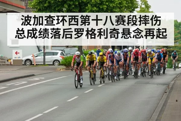 波加查环西第十八赛段摔伤 总成绩落后罗格利奇悬念再起