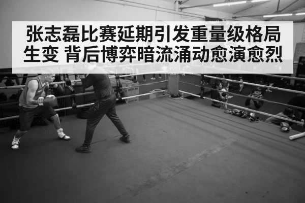 boxer training gym