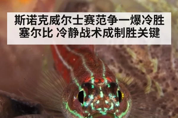 斯诺克威尔士赛范争一爆冷胜塞尔比 冷静战术成制胜关键